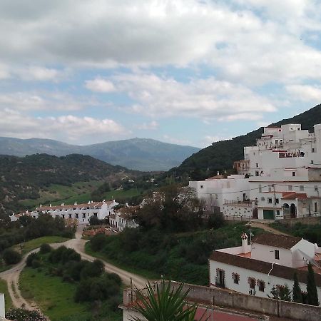 Casita Gazul Βίλα Alcalá de los Gazules Εξωτερικό φωτογραφία